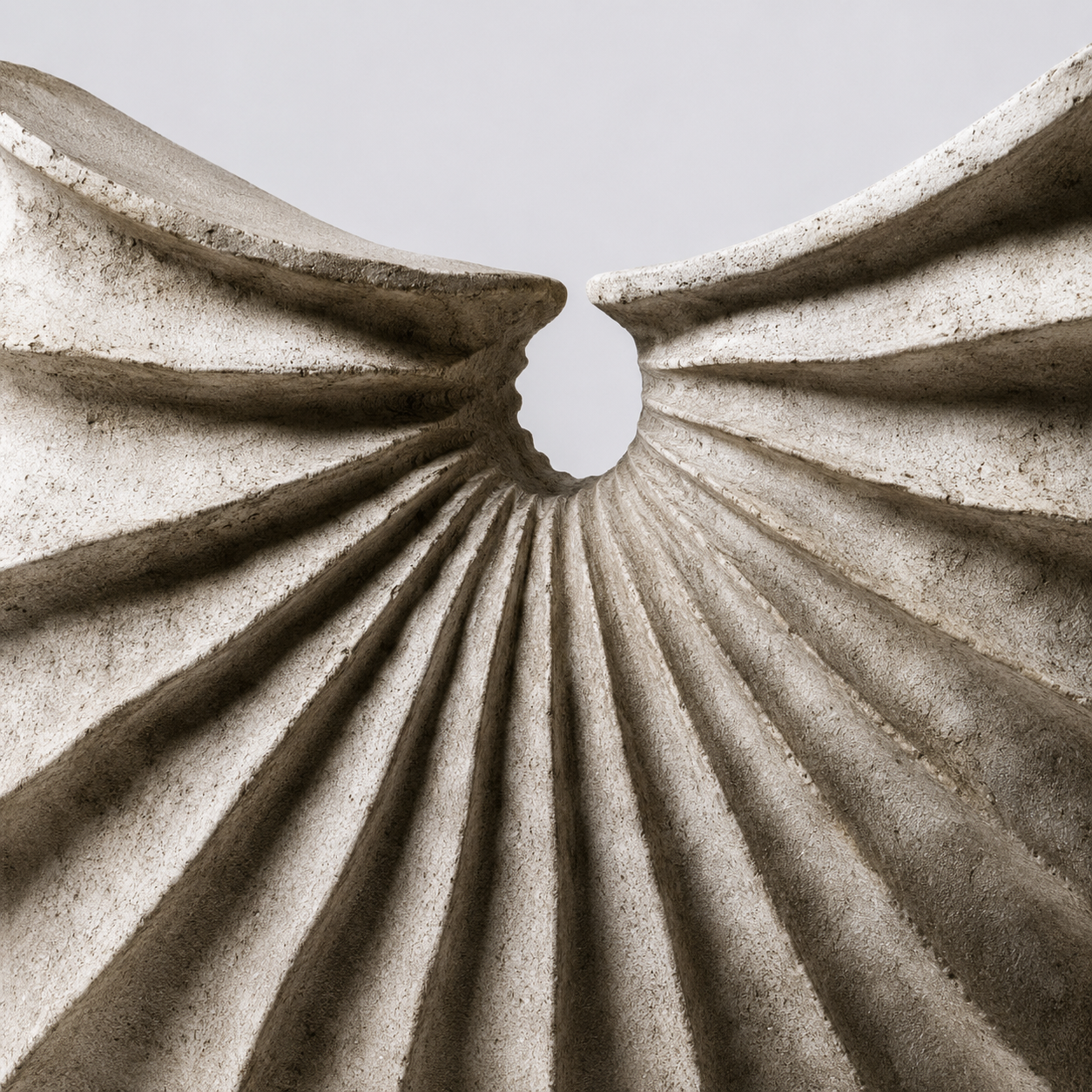 Sola Resin Shell Sculpture
